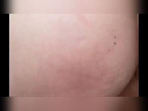 zooxhamster and Canine Intimacy