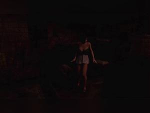 La Passione Canina: Un Viaggio Senza Freni