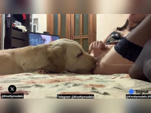 Couples Who Love Anal Sex Turn to Their Dogs