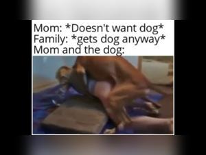 Forbidden Desires: Dog Blowjob and ZooYouPorn