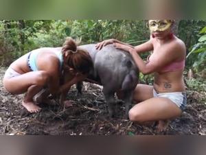 Bestiality: Alison and her friend with a pig