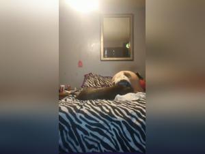 The Art of Pornovolk Artofzoo