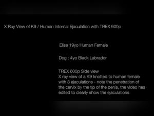 Elise X-Ray: An Intimate and Bestial Connection