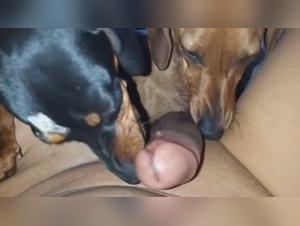 Moments of intense pleasure with my little mascots