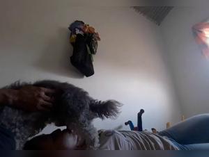 Woman and dog: a shocking bestiality video