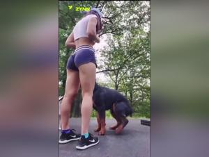 Bestiality sex videos featuring dogs and humans