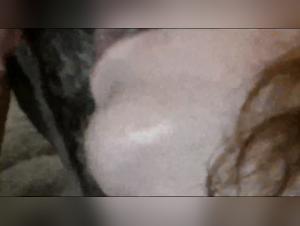 Bestiality sex: a woman and her dog