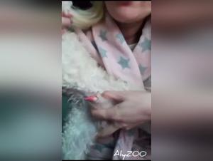 Desentranando el misterio de ArtofZoo