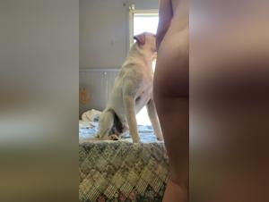 storia della bestialita in mississippi