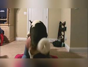 housewife and zoo porn