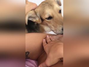 Dominant woman and her submissive dog in intense bestiality scene
