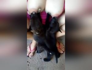 Bestial video: a dog and her master