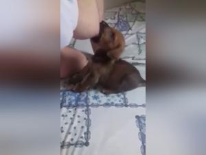 Woman and Puppy: An Unexpected Meeting