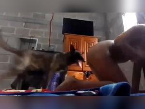 Forbidden Desires: Animal & Woman