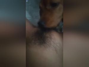 Bestiality with a teen and her dog