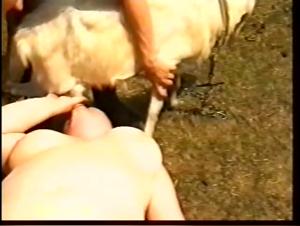 Sex mit einer Ziege: extremes Vergnugen und Bestialitat