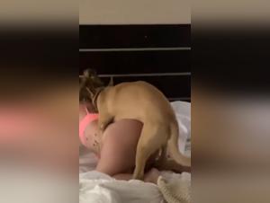 Unfaithful woman caught in the act with a dog