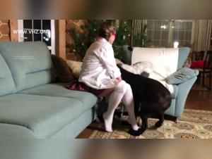 Bestiality: Veronica and her canine friend