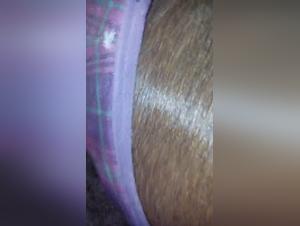 Video of Sex with a Horse with a Big Dick