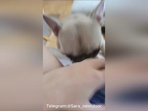 Baiser avec un chien sexe animal porno