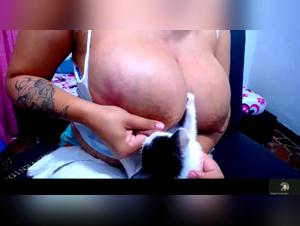 bestiality compilation