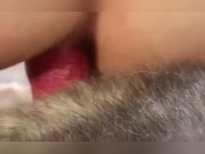 Tierische Begierde - Grenzenlos und Erotisch