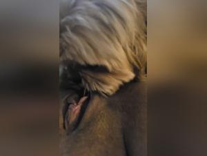 Extreme bestiality: a woman and a dog in a hard sex scene