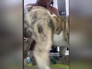 Human-Animal Sex: The Sizzling Encounter