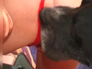 A Sensual Mistress and Her Dog