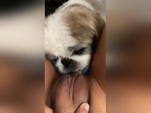 Extreme zoophilia video with an ebony teen