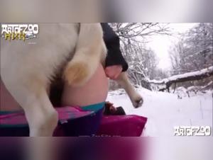 Bestial Compilation: Dogs and Humans