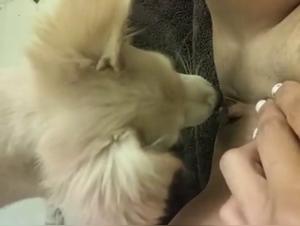 Video of Sex with a Dog