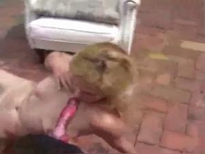 Extreme Zoophilia: Milf Licks the Depressed Dog
