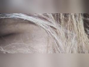 Wild Sex: The Best Animal Lovers Content on TikTok with Gozada