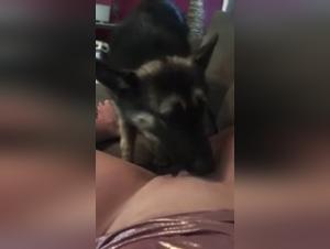 Shepherd and slut: an extreme bestiality video