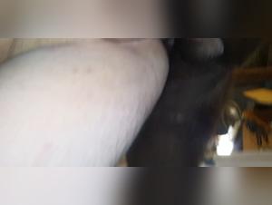 TikTok Beast : Realite ou Delire Viral ?