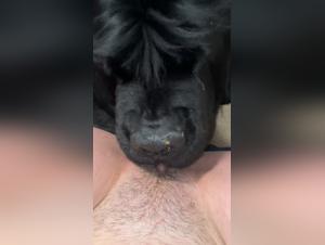 Extreme Sex with Dog and Hot Girlfriend: The hottest sex scene ever