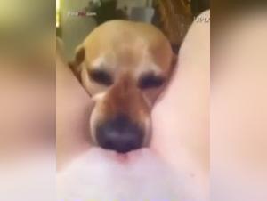 A Passionate Encounter: Woman and Dog