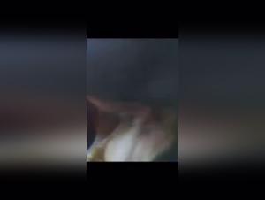 Bestiality sex videos featuring dogs