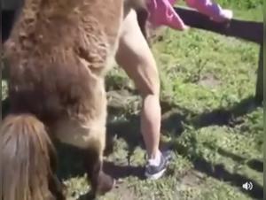 Bestiality with a Dog