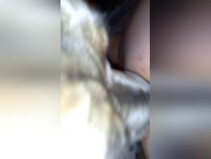 Forbidden Meeting: Woman and Dog