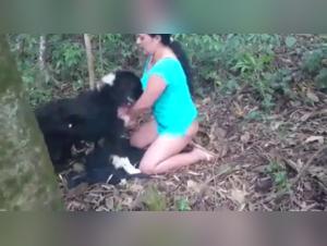 Forest Adventure: A Beastly and Extreme Experience