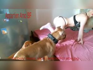Blonde and dogs: a bestial sex video not to be missed
