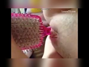 Verbotene Begegnung: Frau und Hund