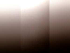 Bestiality Sex: Brazilian Teenager and Dog