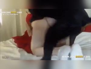 Sex with Dogs Videos