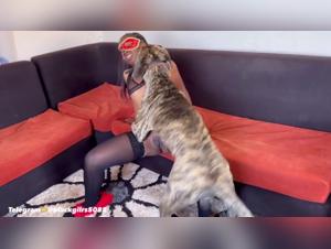 Fuck with a dog: an extreme zoophilia video