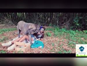 Alisonprod's Forbidden Forest: A unique beastly experience