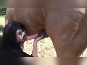 Bestial encounter between a vixen and a horse