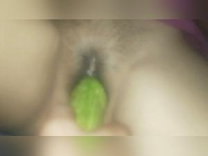 Obscenidad animal desvelada